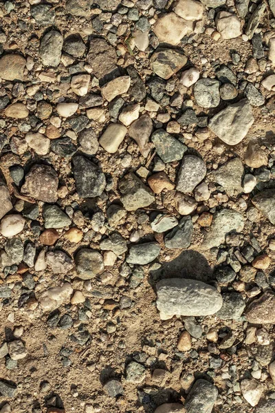 Разбросанные Камни Качестве Фона Текстуры — стоковое фото