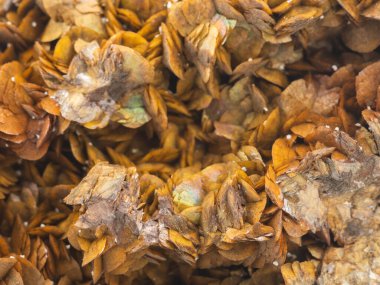 İtalyan mineral örneğinin ayrıntıları