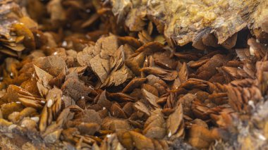 İtalyan mineral örneğinin ayrıntıları