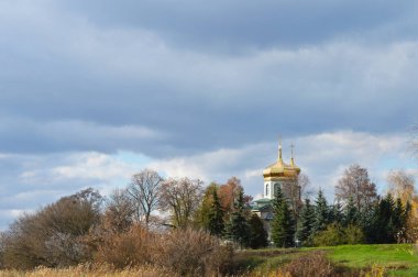 Sonbahar ağacının arka planında sarı kubbeler olan tapınak.