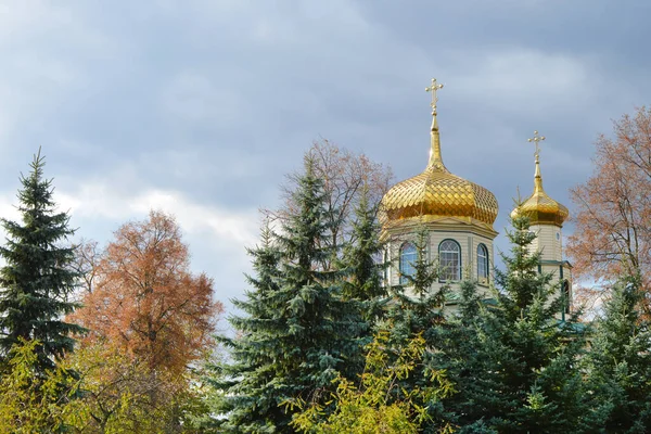 Yellow domes of the church with crosses on a background of autumn trees