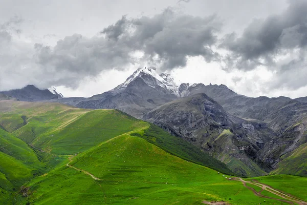 Kafkas Dağları'nda Trekking (Gürcistan) - Kaz Dağı manzarası — Stok fotoğraf