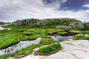 Norveç fiords trekking