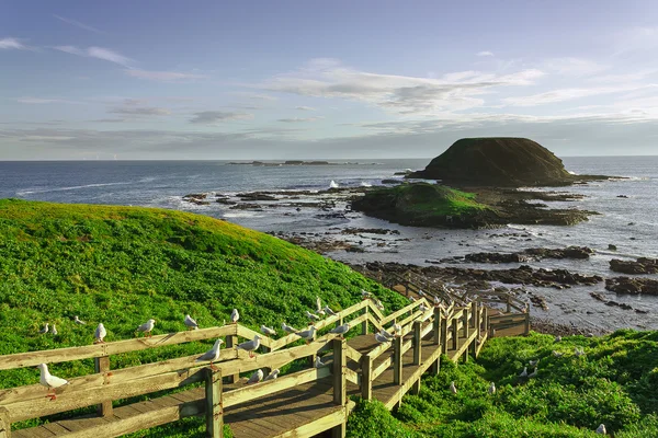 Skyline de Phillip Island — Foto de Stock