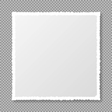 Yumuşak gölgeli, yırtık, beyaz, gerçekçi kare kağıt şerit kare şeffaf arka planda. Mesajın burada. Yırtık kağıt. Vektör