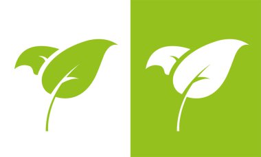 Beyaz ve yeşil arkaplanda Yaprak Simgesi. Yeşil simge. Vektör