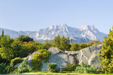 Kırım'da Yalta Park doğa yazın