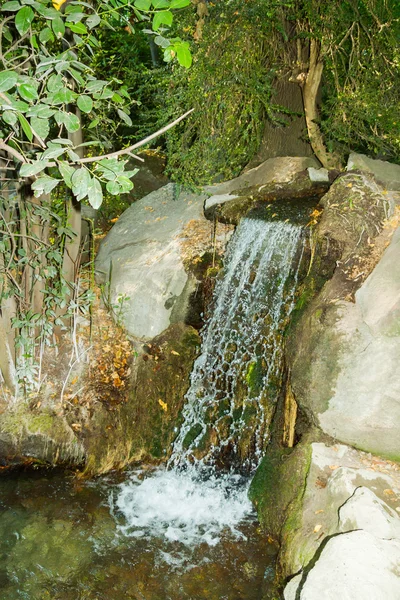 La naturaleza el verano en el Parque de Yalta en la Crimea — Foto de Stock