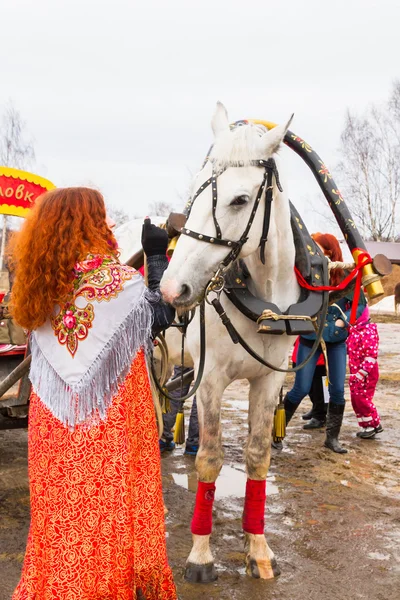 A white horse with a wagon in the scenery — Stock Photo, Image