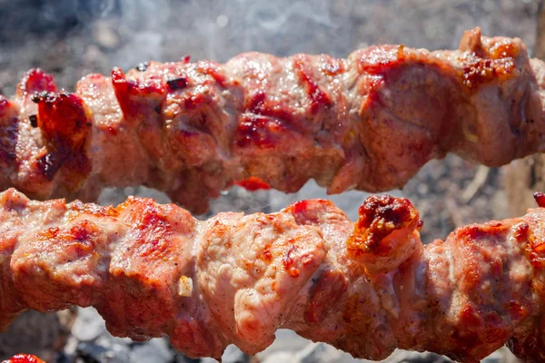 Μαγείρεμα χοιρινό σε φέτες κρέας στα οβελίδια — Φωτογραφία Αρχείου
