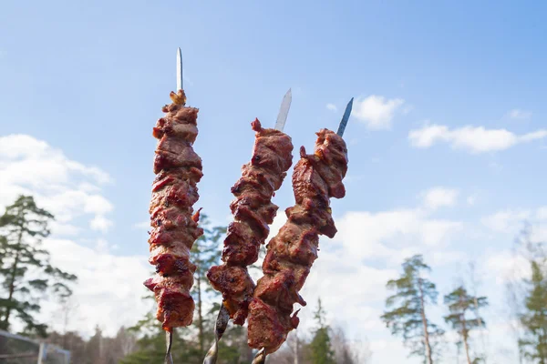 Churrasco de porco cozido em espetos — Fotografia de Stock