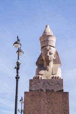 Neva Nehri'nin St Petersburg ünlü Sfenks.