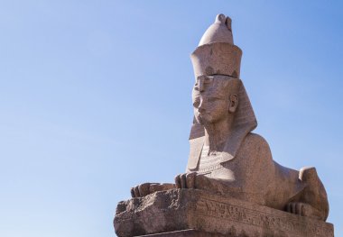 Neva Nehri'nin St Petersburg ünlü Sfenks.