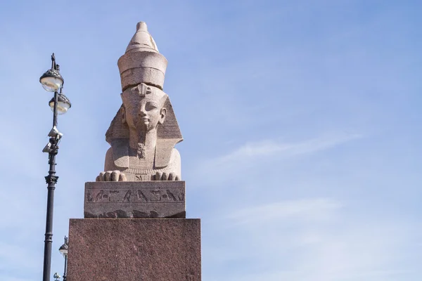 Die berühmte sphinx von neva in st. petersburg. — Stockfoto