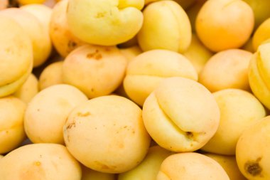 Üstünde belgili tanımlık sayaç deposundaki sarı kayısı