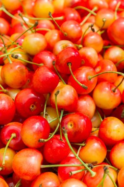 RIPE içinde belgili tanımlık çarşı üstünde belgili tanımlık sayaç tatlı kiraz renkli