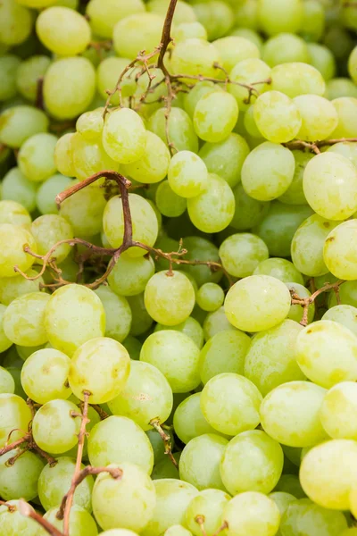 stock image Ripe delicious grapes in the market on the counter