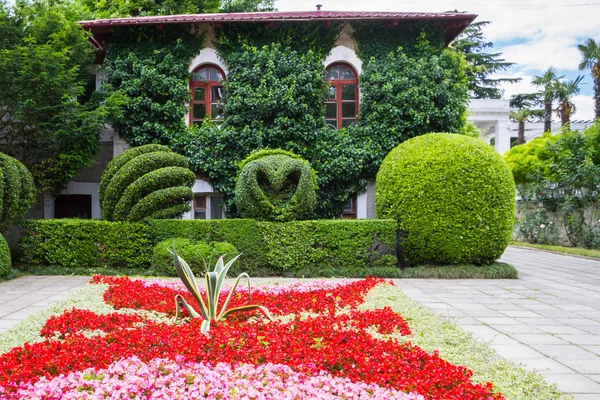 Jałta Krym Czerwca 2016 Nikicki Ogród Botaniczny Jałcie — Zdjęcie stockowe