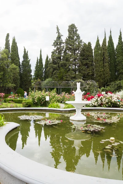 Pool med näckrosor i Nikitsky Botaniska trädgården — Stockfoto