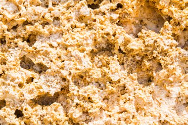 Coquina inşaat için doğal malzeme