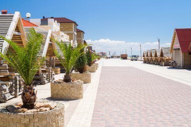 Yaz aylarında flowerbed palmiye ağacı