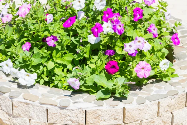 Blumenbeet aus Ziegelsteinen auf der Straße mit leuchtenden Farben — Stockfoto