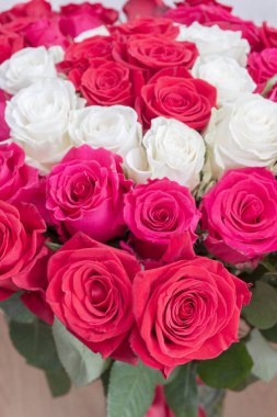 Çok renkli kırmızı, pembe ve beyaz güller.