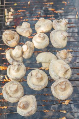 Pickled mushrooms are cooked on the grill on coals