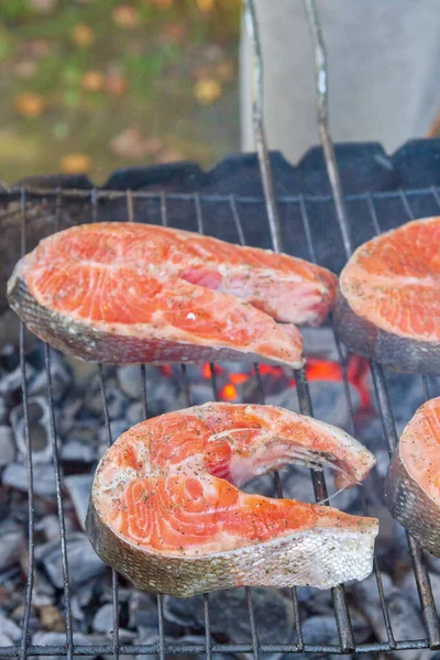 Große Fischsteaks Frische Forellen Gewürzen Auf Dem Grill Gebraten — Stockfoto