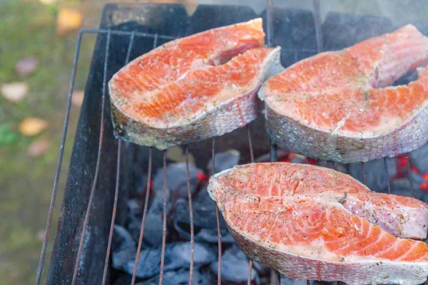 Große Fischsteaks Frische Forellen Gewürzen Auf Dem Grill Gebraten — Stockfoto