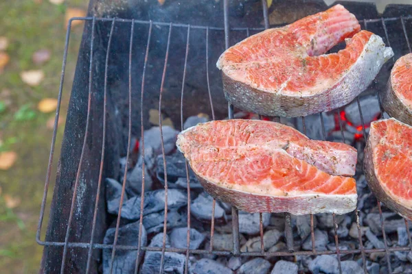 Große Fischsteaks Frische Forellen Gewürzen Auf Dem Grill Gebraten — Stockfoto