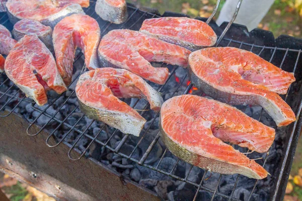 Ikan Besar Steak Segar Trout Goreng Rempah Rempah Panggangan — Stok Foto
