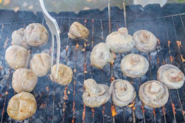 Pickled mushrooms are cooked on the grill on coals