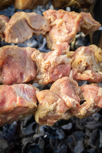 Shish Kebab Feito Pedaços Carne Porco Cozido Espetos Grelha — Fotografia de Stock