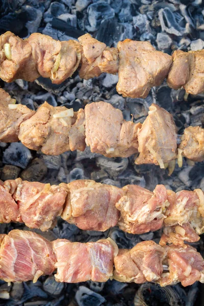 Shish Kebab Feito Pedaços Carne Porco Cozido Espetos Grelha — Fotografia de Stock