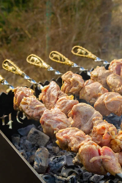 Shish Kebab Made Pieces Pork Cooked Skewers Grill — Stock Photo, Image