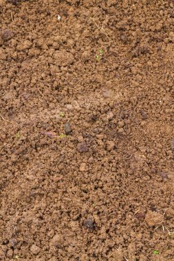 İlkbaharda tohum ekmek için seraya arazi.