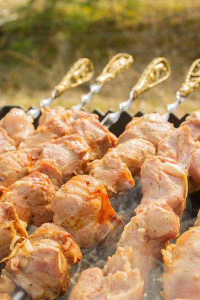 Shish Kebab Hecho Trozos Cerdo Cocina Pinchos Parrilla —  Fotos de Stock