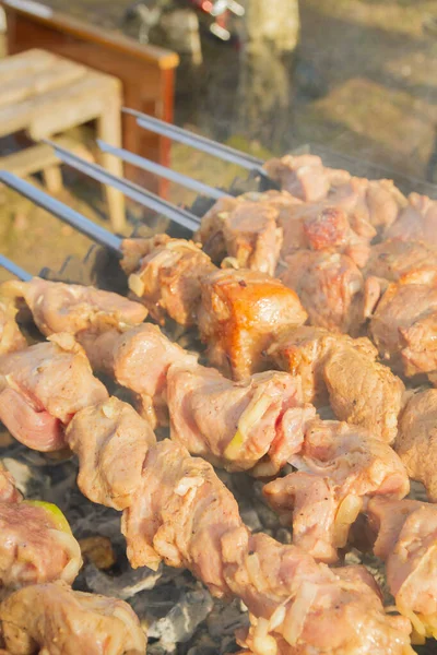 Shish Kebab Made Pieces Pork Cooked Skewers Grill — Stock Photo, Image