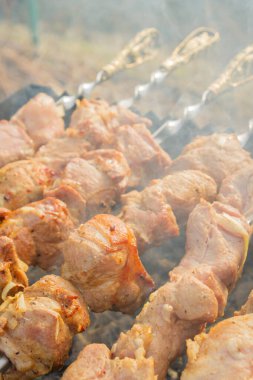 Şiş kebap ızgaradaki şişte domuz parçalarından yapılır.