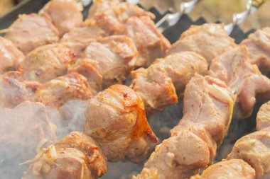 Şiş kebap ızgaradaki şişte domuz parçalarından yapılır.