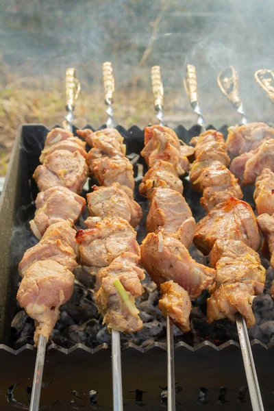 Shish Kebab Made Pieces Pork Cooked Skewers Grill — Stock Photo, Image