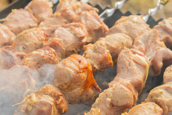 Shish Kebab Γίνεται Από Κομμάτια Του Χοιρινού Κρέατος Μαγειρεύεται Σουβλάκια — Φωτογραφία Αρχείου