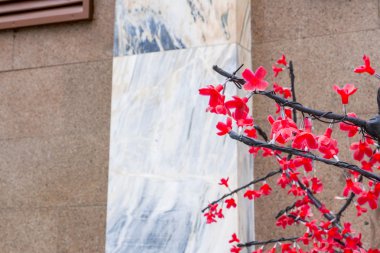 Sokak kırmızı parlak dekoratif ağaç