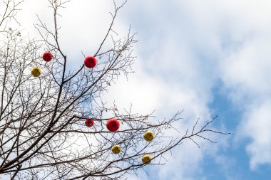 Noel oyuncaklar topları ağaç üzerinde