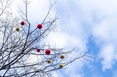 Noel oyuncaklar topları ağaç üzerinde