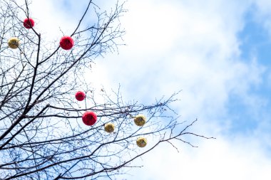 Noel oyuncaklar topları ağaç üzerinde