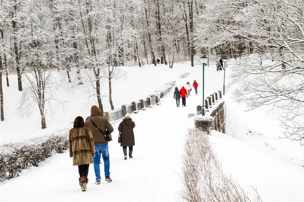 Lomonosov, St. Petersburg, Russia-February 8, 2015. People walk — Stock Photo, Image