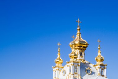 Peterhof şehir Park Grand Palace pınarlarına.
