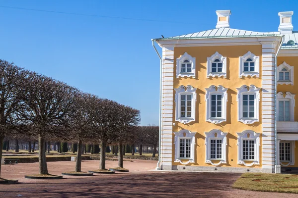 De Grand Palace fonteinen in het Park van de stad van Peterhof. — Stockfoto